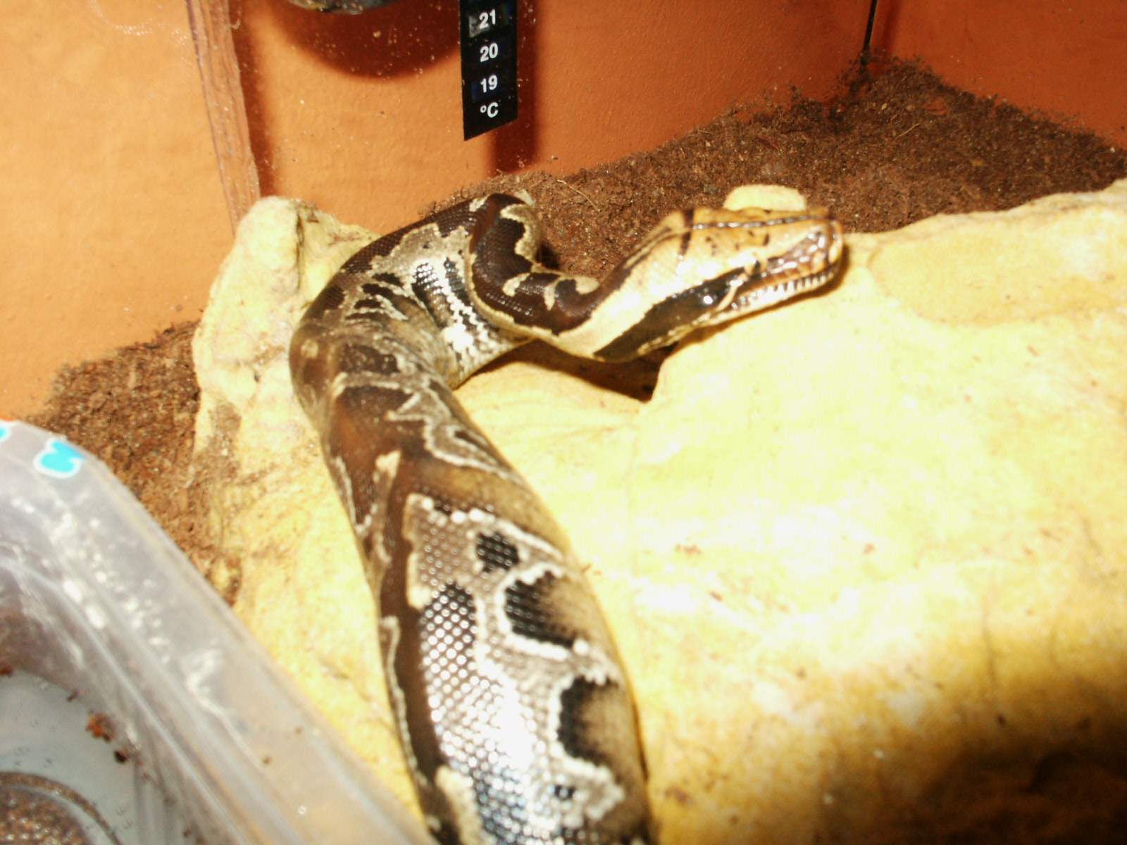 PICT1032.JPG