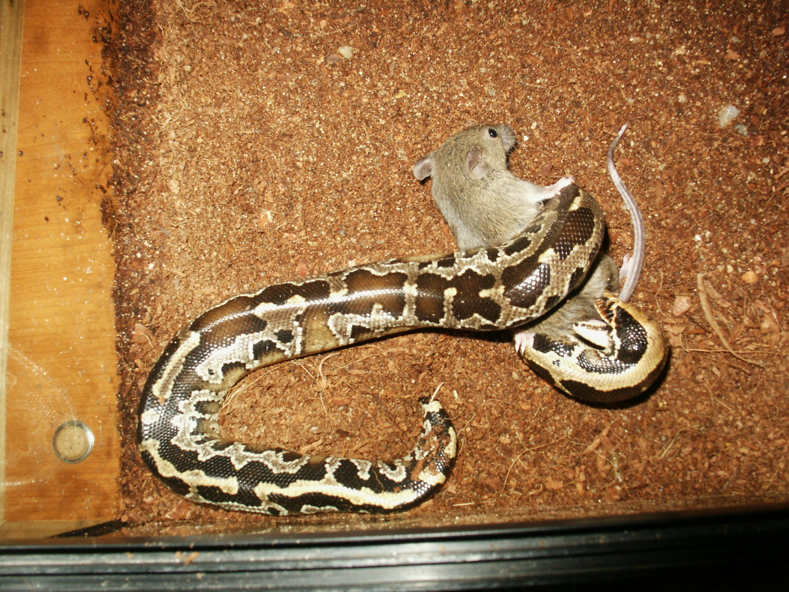PICT1202.JPG
